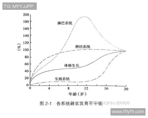 数据分析揭示WE力量的表现与潜力探讨