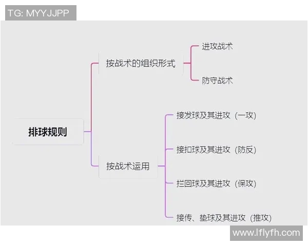 重庆排球队总决赛战术分析与表现评估的深度解读